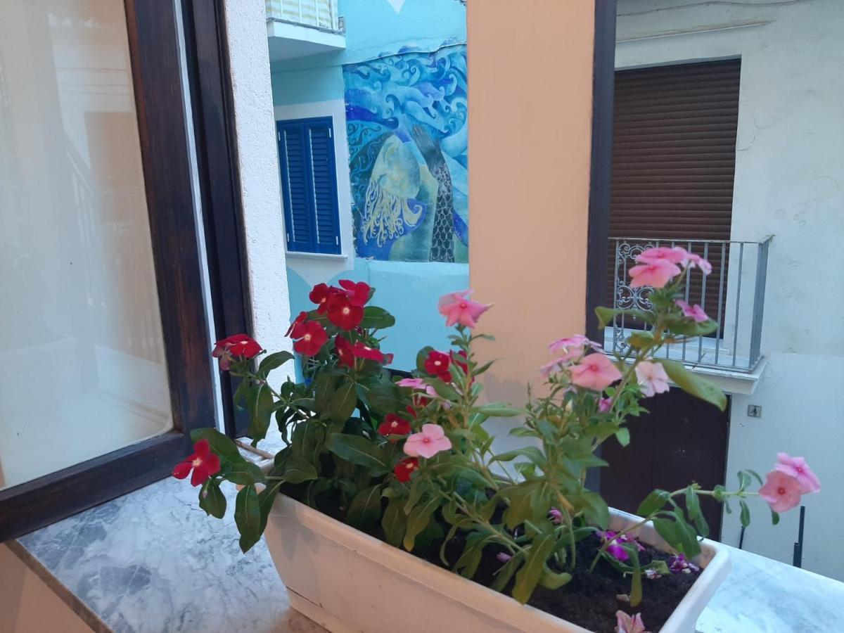 La Vie En Rose - Casa vacanze Diamante Esterno foto